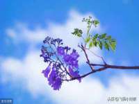 上海而萨而网络科技有限公司