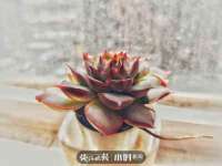 上海而萨而网络科技有限公司